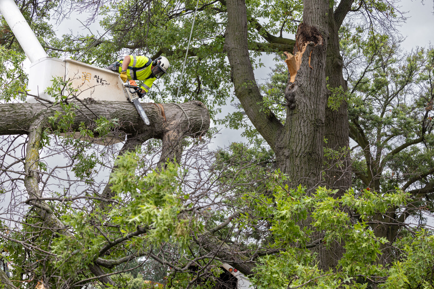 Top Journal Star photos for July